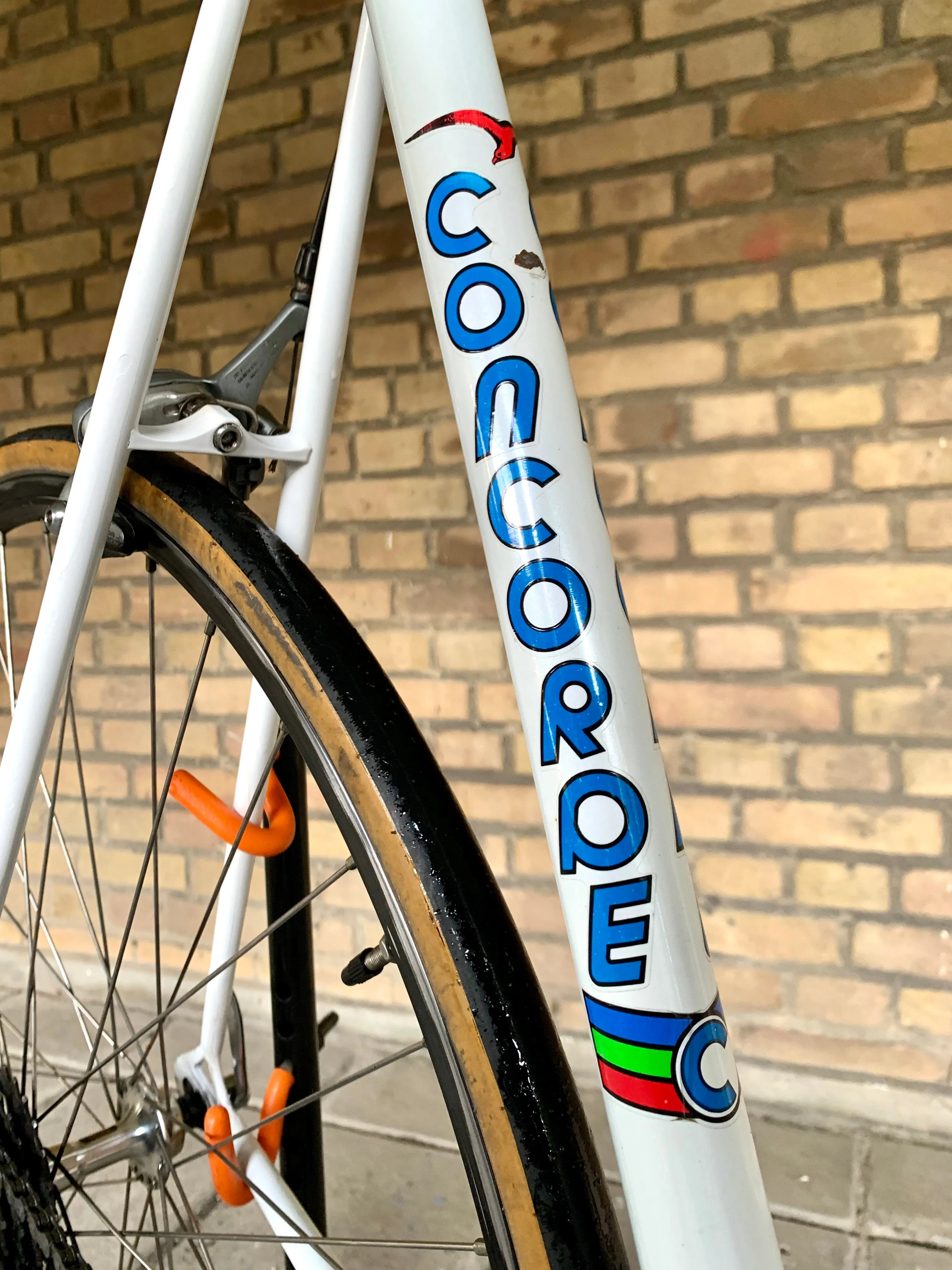 Concorde Classic 60cm