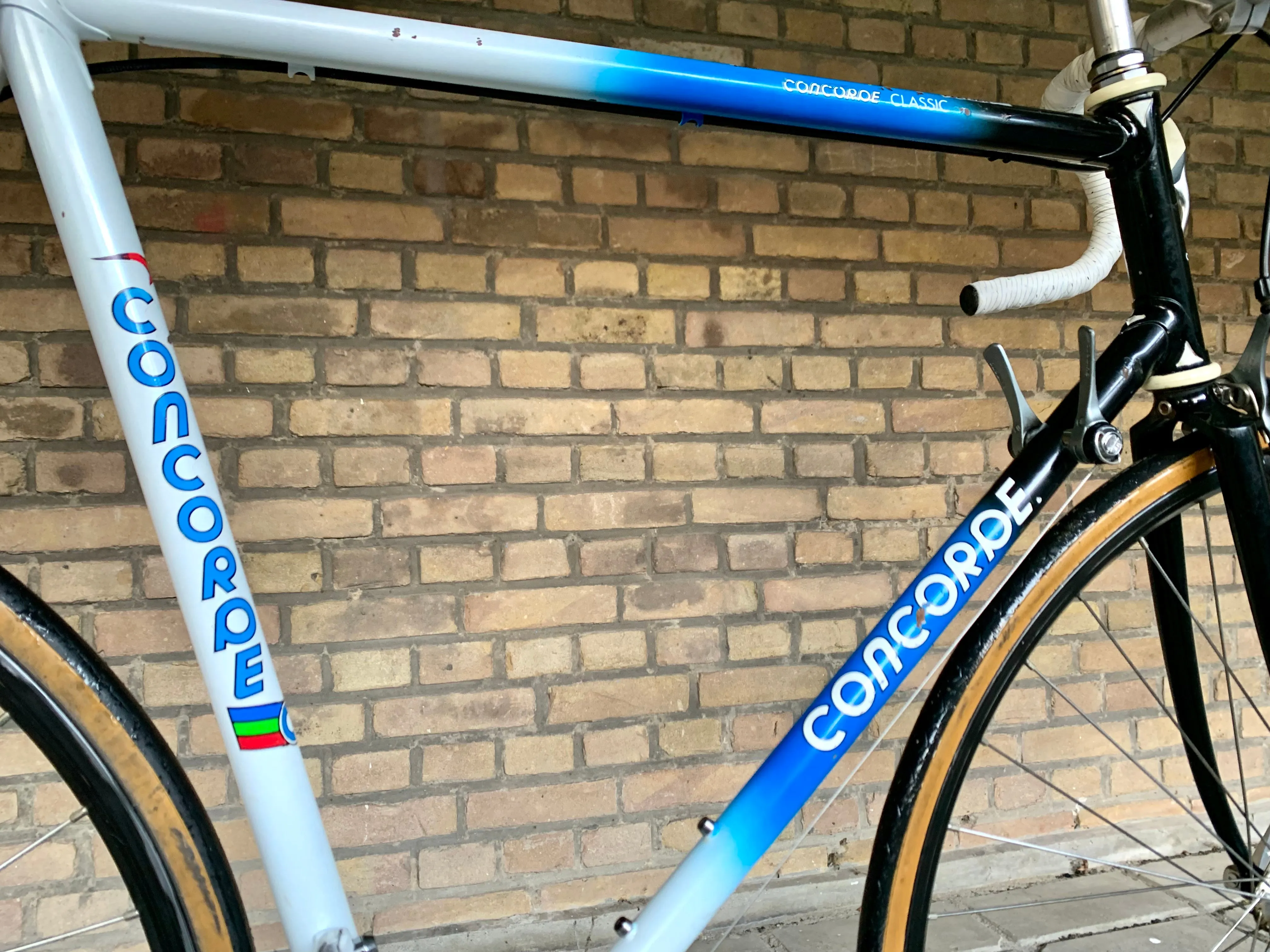 Concorde Classic 60cm